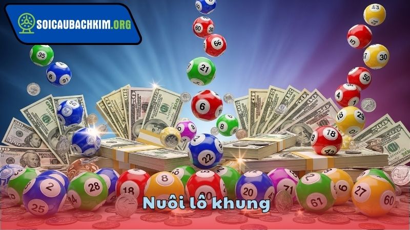Cách Nuôi Lô Khung 1,2,3,5,7 Ngày Từng Giai Đoạn
